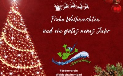 Frohe Weihnachten und ein gutes neues Jahr